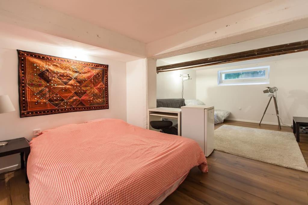 R-appartements Cosy Orangerie Straatsburg Buitenkant foto